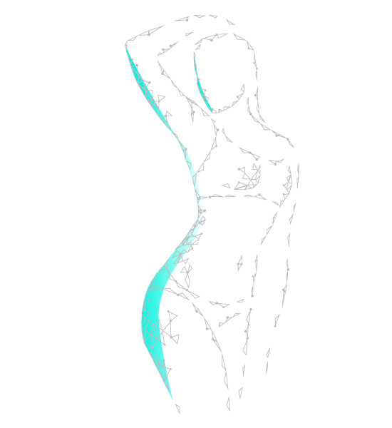 Body Aesthetic